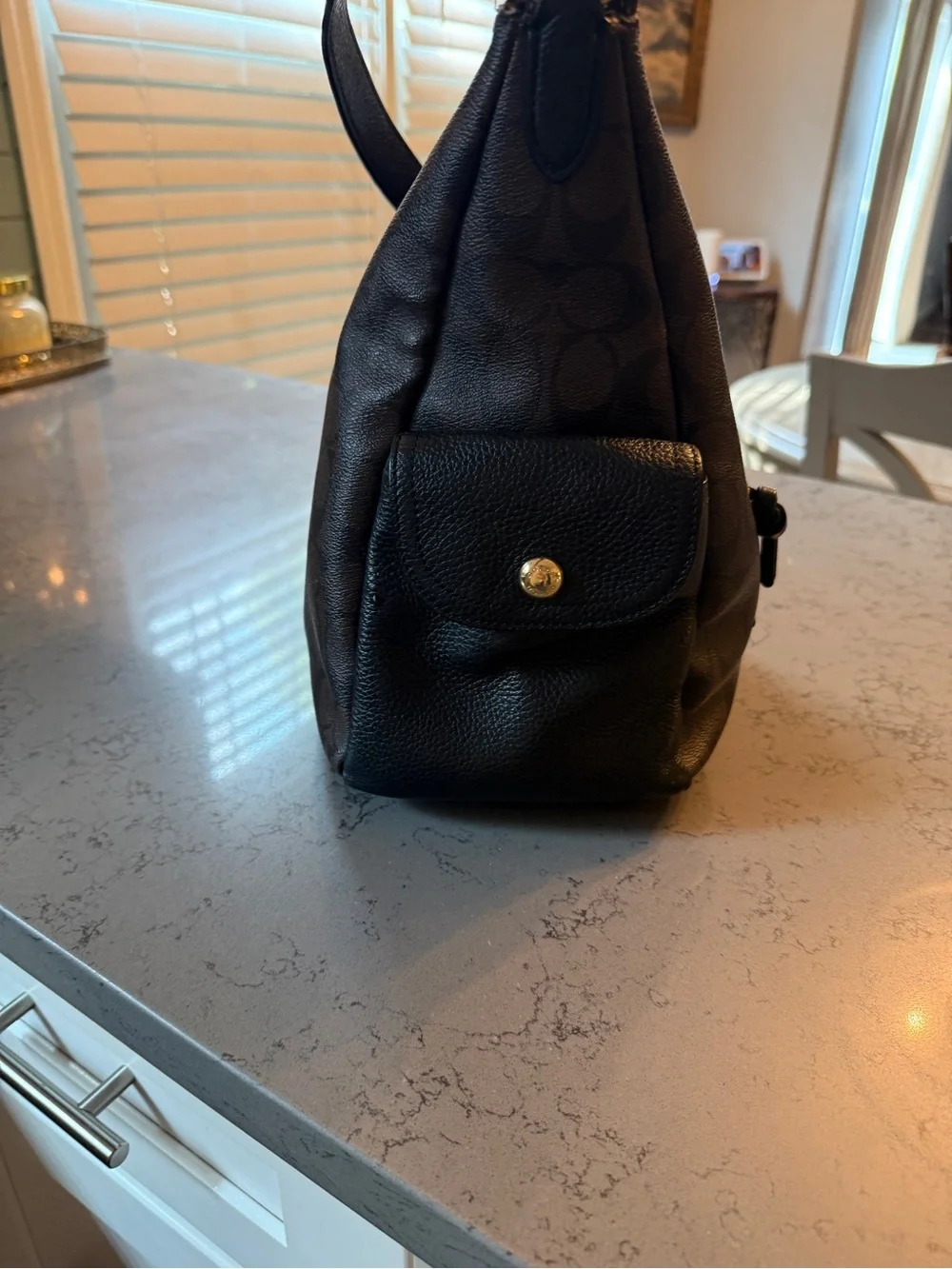 Coach Pennie Shoulder Bag Signature Canvas Brown Black Leather C1523